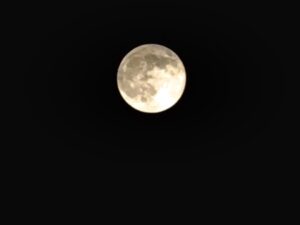 HarvestMoon